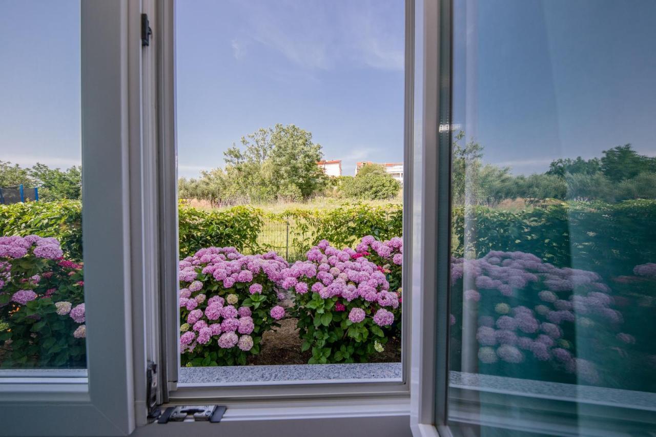 Zeljko Apartmani Lopar Exterior foto